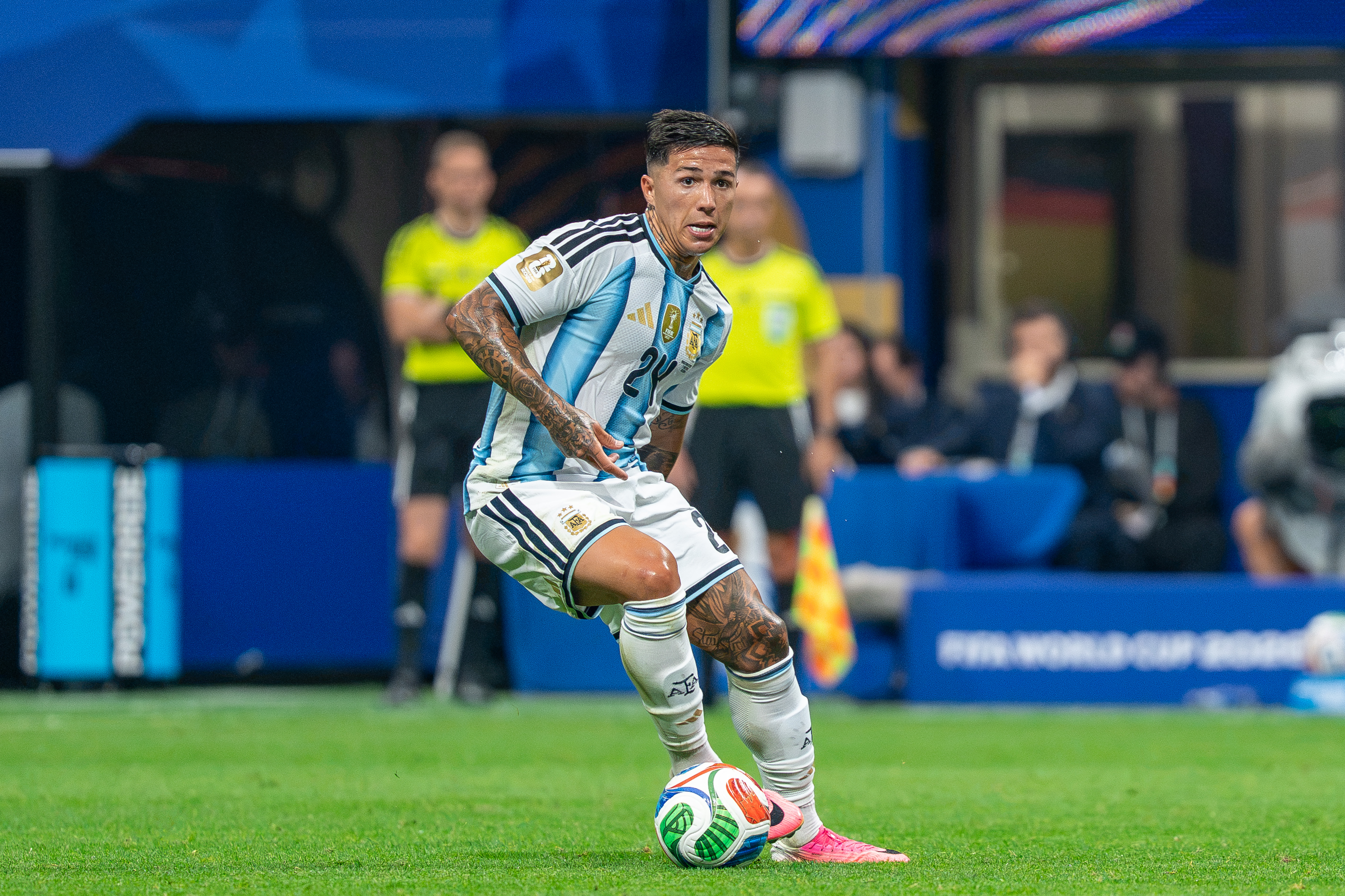 Enzo Fernández - Selección Argentina